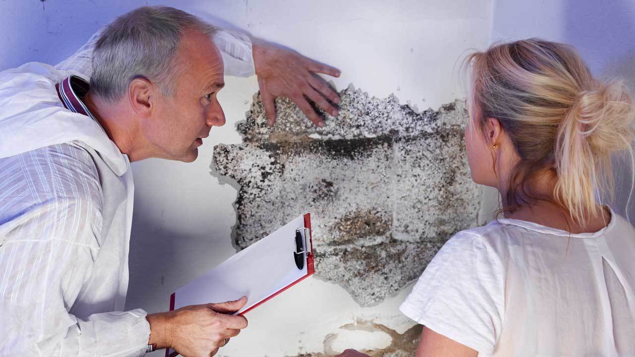 <span style="font-weight: bold;">ДЕЗИНФЕКЦИЯ</span>