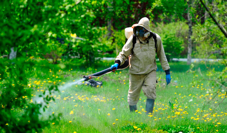  <span style="font-weight: bold;">АККАРИЦИДНАЯ ОБРАБОТКА</span><br>